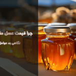 چرا قیمت عسل متفاوت است؟ نگاهی به عوامل اثرگذار