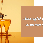 رازهای تولید عسل، سفری در دنیای زنبورها