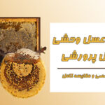 تفاوت عسل وحشی و عسل پرورشی | بررسی تخصصی و مقایسه کامل
