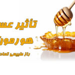 تأثیر عسل بر هورمونها | راز طبیعی تعادل بدن